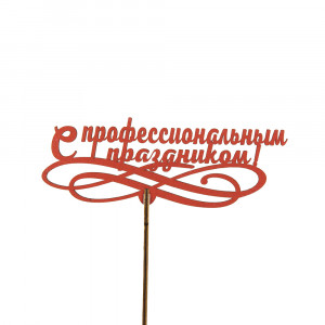 Топпер С ПРОФЕССИОНАЛЬНЫМ ПРАЗДНИКОМ!